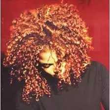 Janet Jackson: Velvet Rope - Pop & Rock CD - 2867 - 1